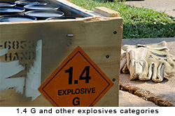 1.4 G & other explosives categories dealt with